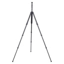FALCAM TreeRoot Quick Lock Travel Tripod R141K-A130