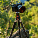 Freewell The Real Multi Tripod 5-in-1