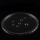 Haida 77mm PROII Variable ND Filter