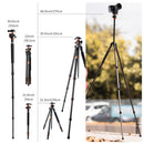 K&F Concept 70" Carbon Fiber Travel Tripod with BH-36L Ball Head