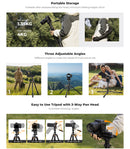 K&F Concept 77" Aluminium Tripod with 3-Way Head and Phone Holder