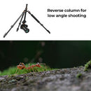 K&F Concept B234A1 Aluminum Professional Ball Head Tripod with Monopod