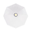 SmallRig FL-65 Quick Setup Foldable Lantern Softbox 6407