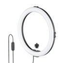 JOBY Beamo Portable Ring Light 12" for Smartphone and Camera