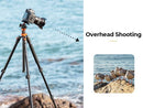 K&F Concept Aluminum Tripod Detachable Monopod with Quick Release Plate and BH-28 Ball Head