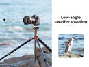 K&F Concept Aluminum Tripod Detachable Monopod with Quick Release Plate and BH-28 Ball Head