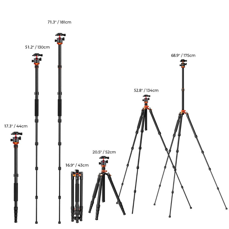 K&F Concept K255A4 Magnesium Aluminum Alloy Tripod with BH-28L Ball Head