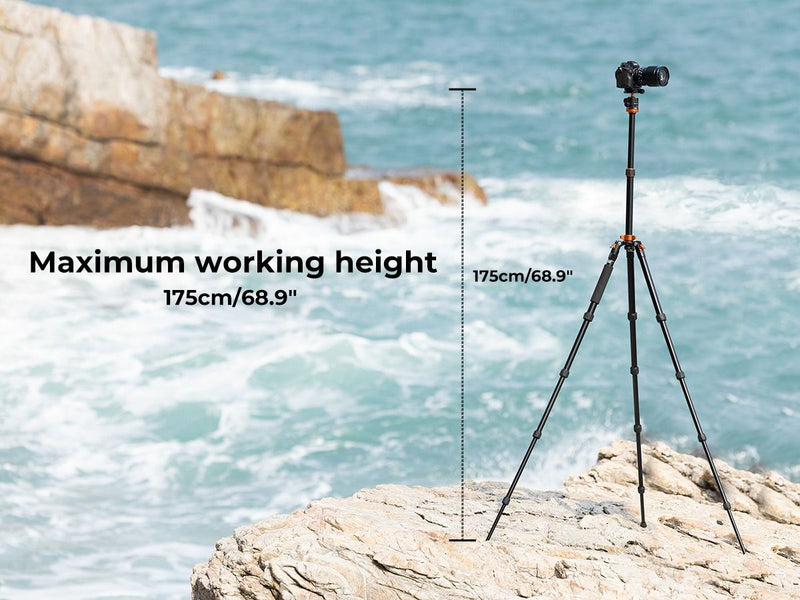 K&F Concept K255A4 Magnesium Aluminum Alloy Tripod with BH-28L Ball Head