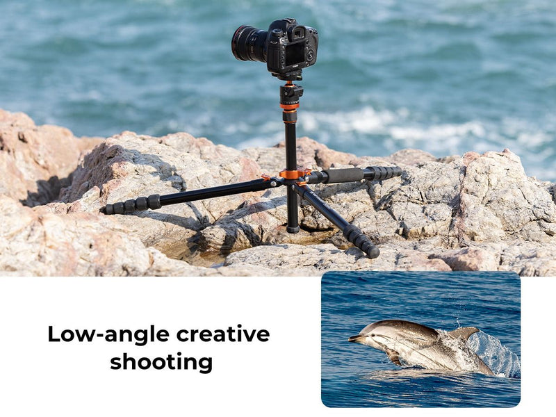 K&F Concept K255A4 Magnesium Aluminum Alloy Tripod with BH-28L Ball Head