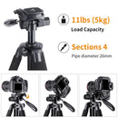K&F Concept 69.7" Portable Compact Tripod with Phone/Pad Mount (Black)