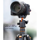 K&F Concept Camera Tripod with BH-28L Ball Head