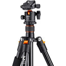 K&F Concept Camera Tripod with BH-28L Ball Head