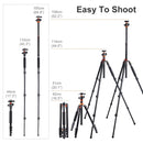 K&F Concept 62" Tripod with Detachable Monopod