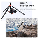 K&F Concept 67" Aluminum Camera Tripod