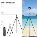 K&F Concept 67" Aluminum Camera Tripod