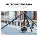 K&F Concept 76" Aluminum Travel Tripod with 360° Ball Head