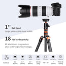 K&F Concept Camera Tripod Ball Head with 1/4" Quick Release Plate and Spirit Level
