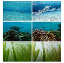 PGYTECH GoPro Hero6/Hero5 Diving Filter Magenta Housing Edition Golden Edge