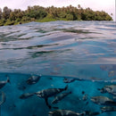 PolarPro FiftyFifty Dome for GoPro HERO9/10/11/12/13 Black