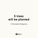 Urth Lens Mount Adapter: Compatible with Olympus OM Lens to Sony E Camera Body