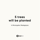 Urth Lens Mount Adapter Compatible with M42 Lens to Sony A (Minolta AF) Camera Body